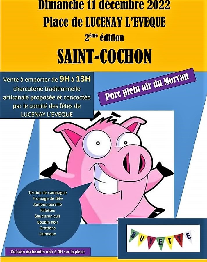 affiche st cochon