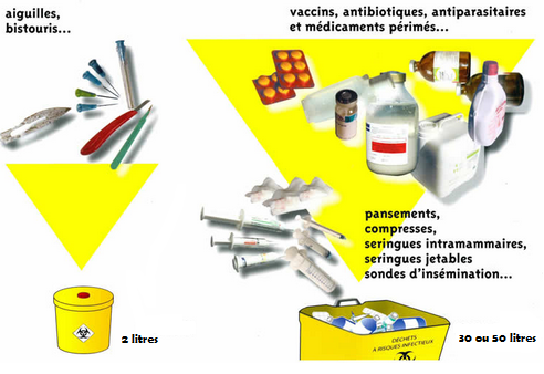 collecte déchets soins vétérinaires